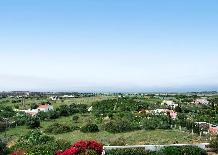 Toriba 알부페이라